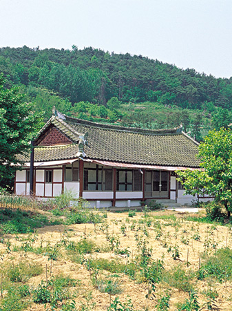 11손병욱성도 집터